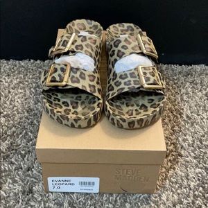 evanne leopard steve madden